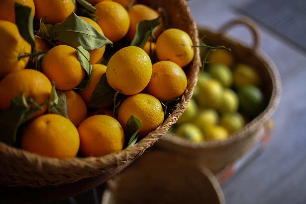 09052023-2X9A2654_1_1 - biscuit