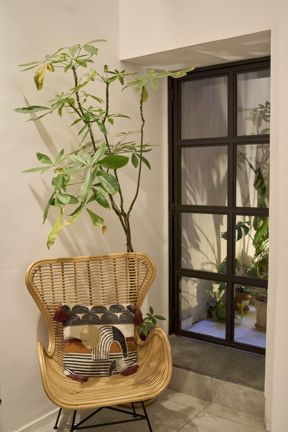 DSC09699_2_1_1 - biscuit