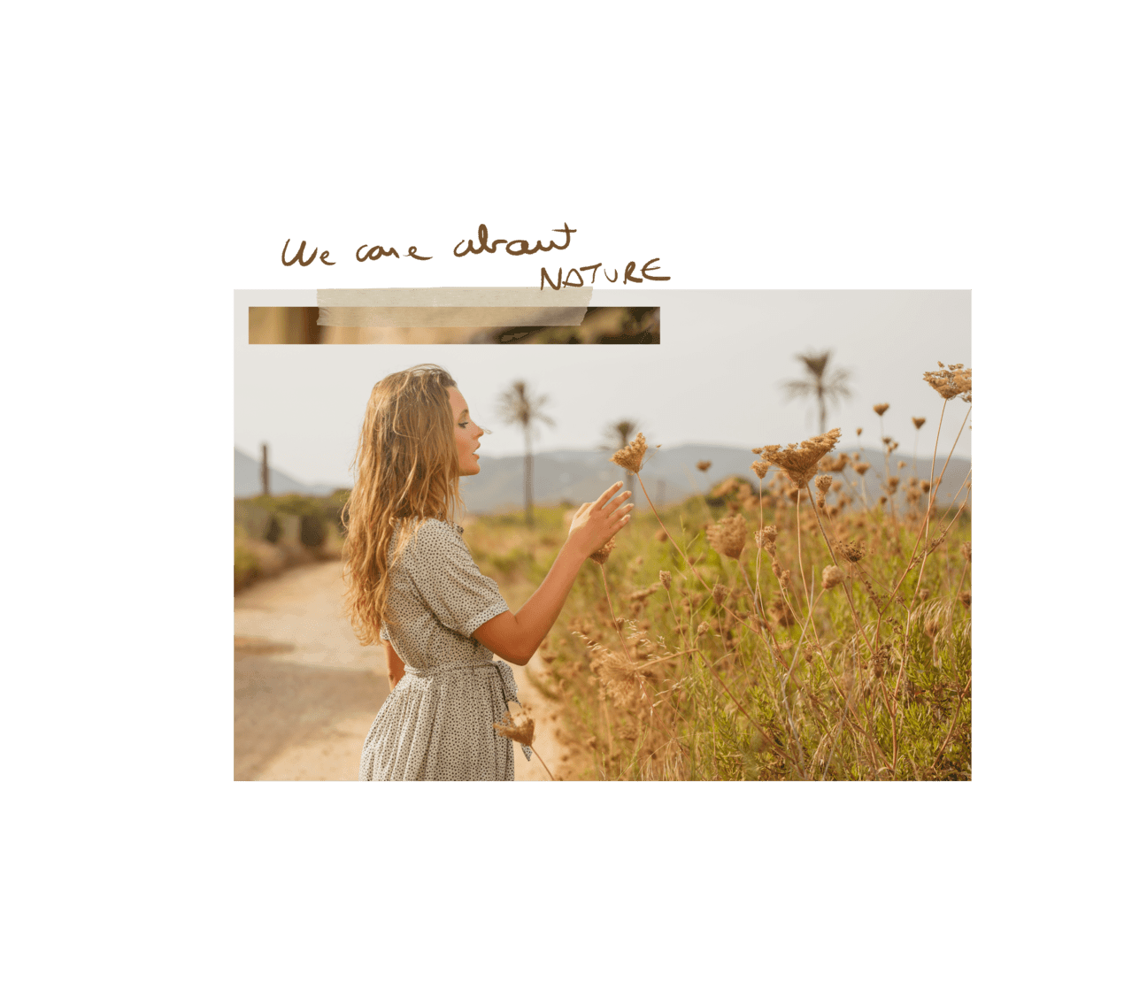 NATURALEZA_IMAGEN-01_1_1 - biscuit