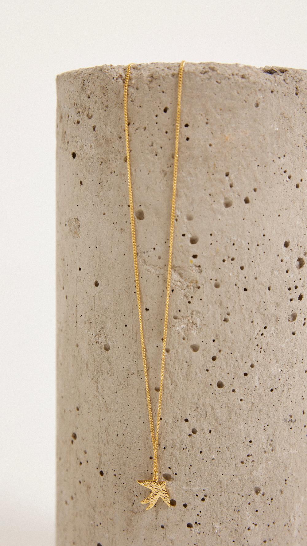 Collar Flybird - Collar - biscuit