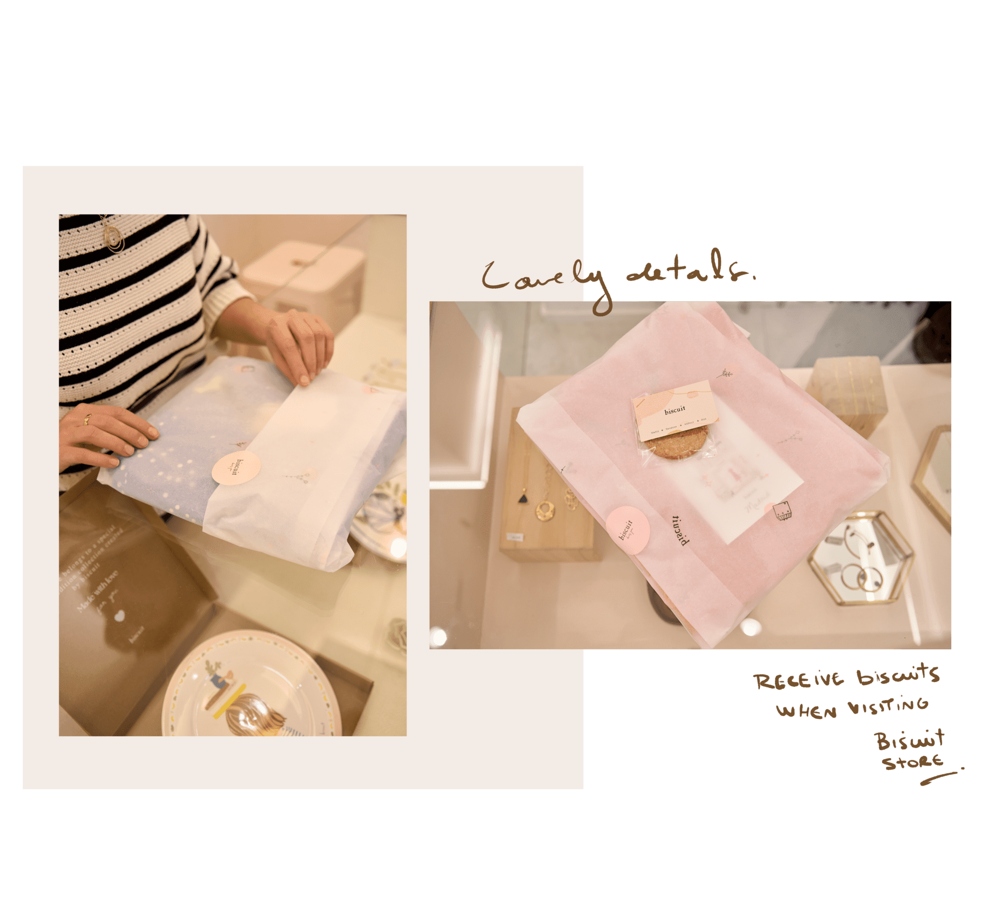 mimo-01_2_1_1 - biscuit